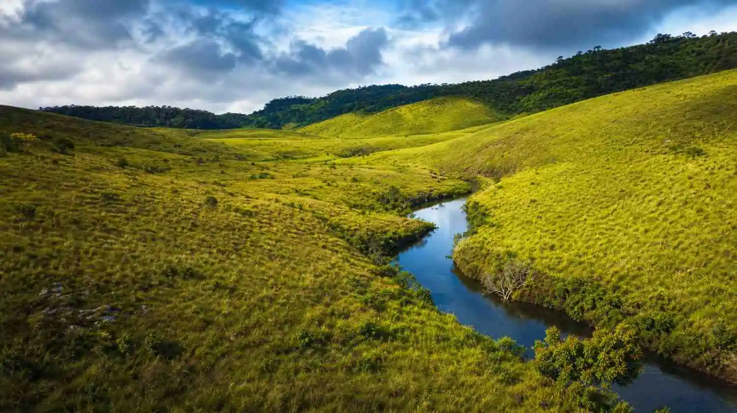 Horton Plains & World's End