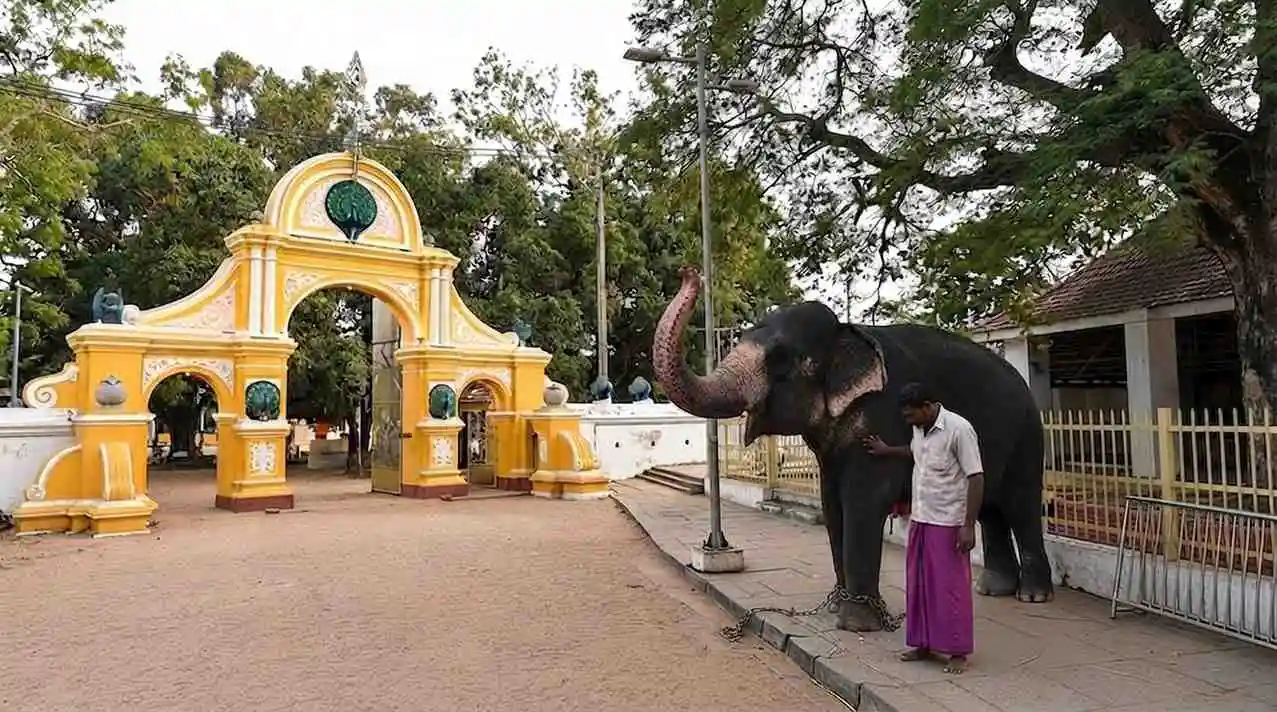 Kataragama