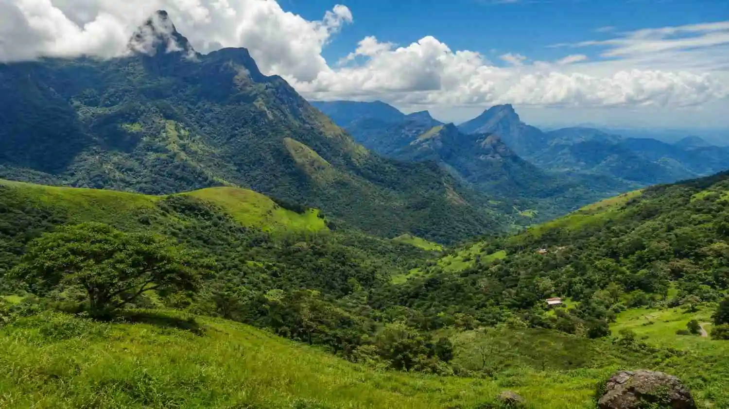 Knuckles Mountain Range