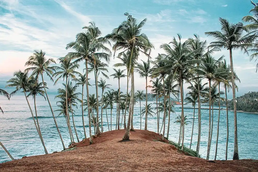 Mirissa