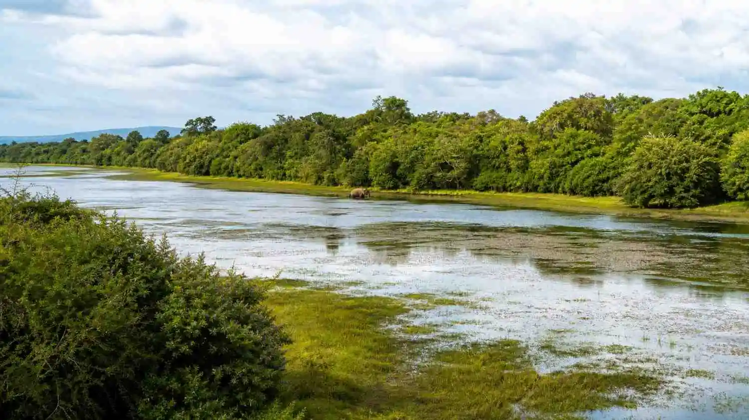 Wilpattu National Park